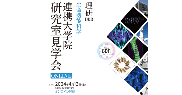 理研BDR 生命機能科学研究室見学会 ONLINE