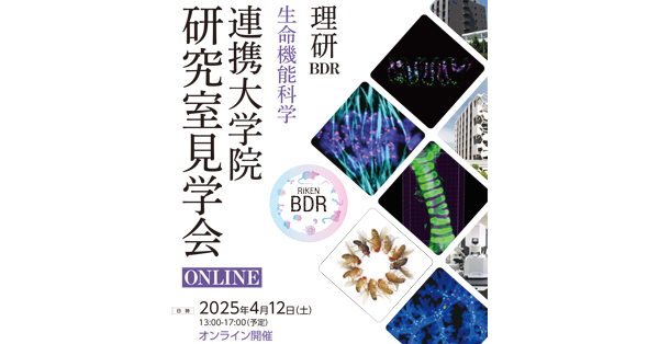 理研BDR 生命機能科学研究室見学会 ONLINE