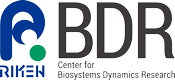 riken bdr logo