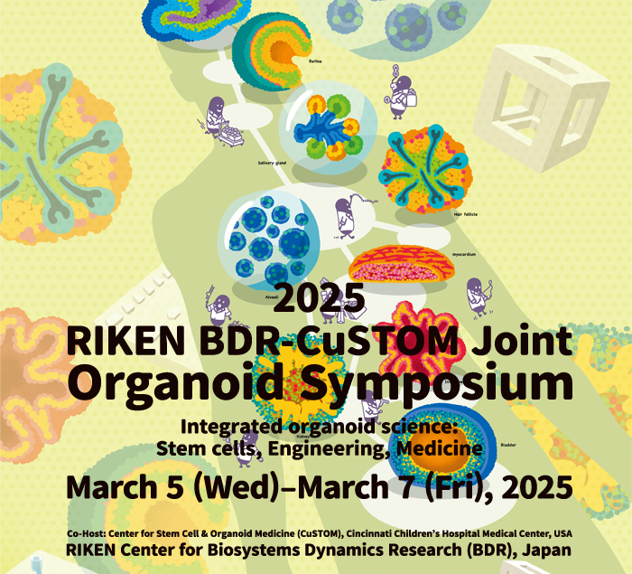 2025 RIKEN BDR CuSTOM Joint Organoid Symposium