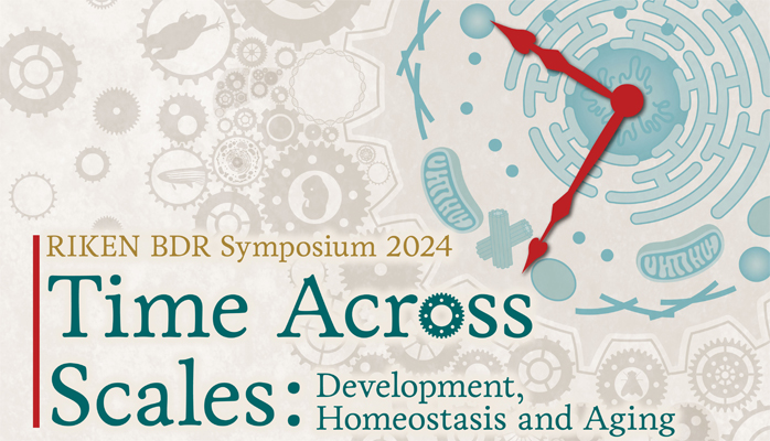 RIKEN BDR Symposium 2024, Time across scales: development, aging and homeostasis